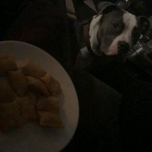 Meet your Posher, Joe